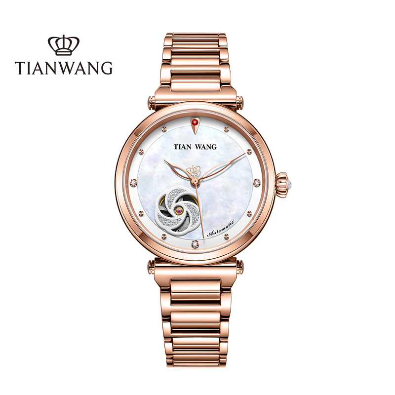 天王表(TIANWANG)手表 MISS ONE系列女士手表钢带镂空机械表 玫瑰金51107