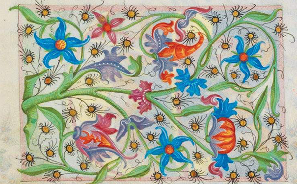 彩色斑斓的花卉