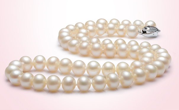 一条珍珠项链多少钱