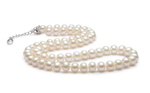 珍珠项链多少钱