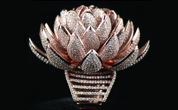 成本约为2.4亿卢比