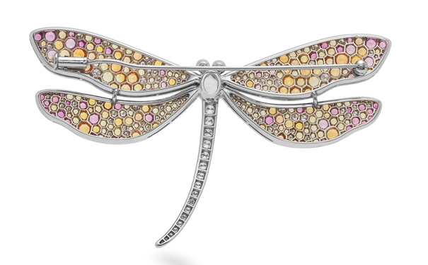 蜻蜓翅膀呈流动的弧线形轮廓