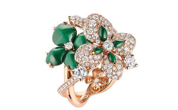 1531877950644947.jpg 3.jpg