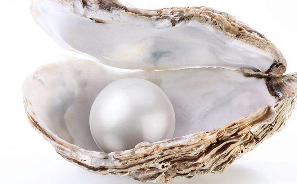 珍珠