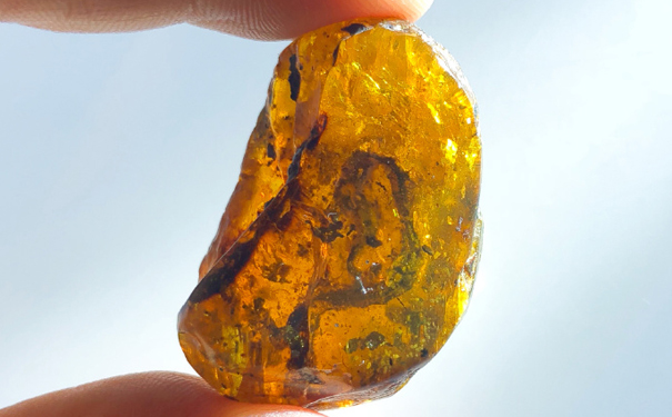 天然琥珀手那些价格影响