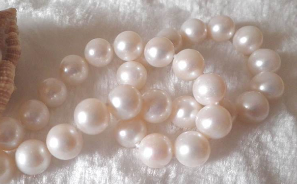 淡水珍珠项链多少钱比较划算