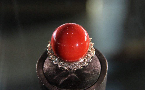 珊瑚戒指