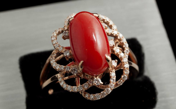珊瑚戒指展示