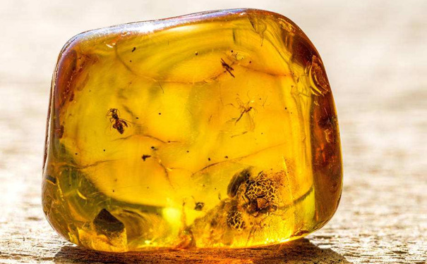 腾冲琥珀