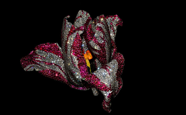 展出展品 展出展品