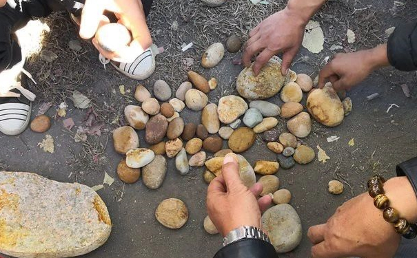 四川发现新“玉种”