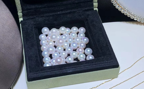 巴中珍珠价格一般多少钱