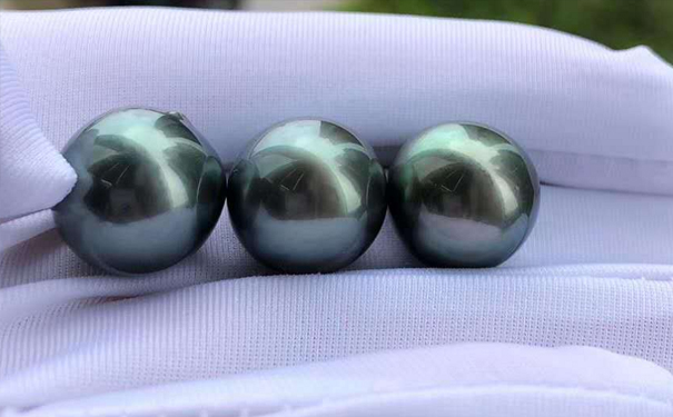 在巴中珍珠多少钱 