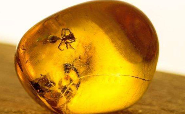 天然琥珀