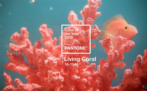 2019年度代表色——「珊瑚橘」