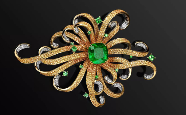 Chrysanthemum 金秋别针