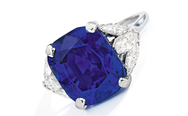 1544666673878415.jpg 5.jpg