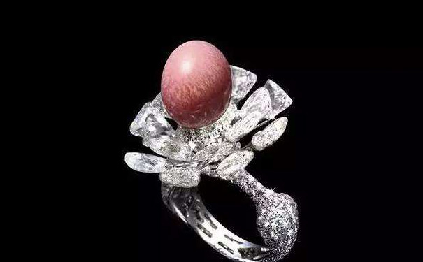 海螺珍珠常见吗，好不好看