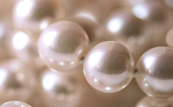 你知道最大的珍珠有多大吗，可以买吗