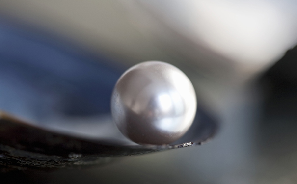 珍珠怎么辨别真假