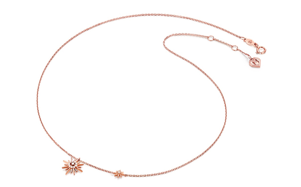 玫瑰项链的价格