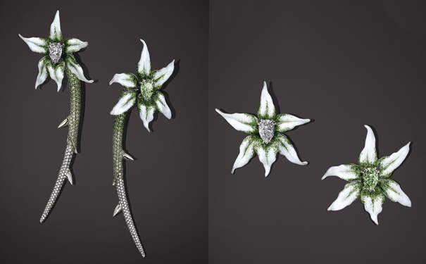 1556616017632976.jpg 4.jpg