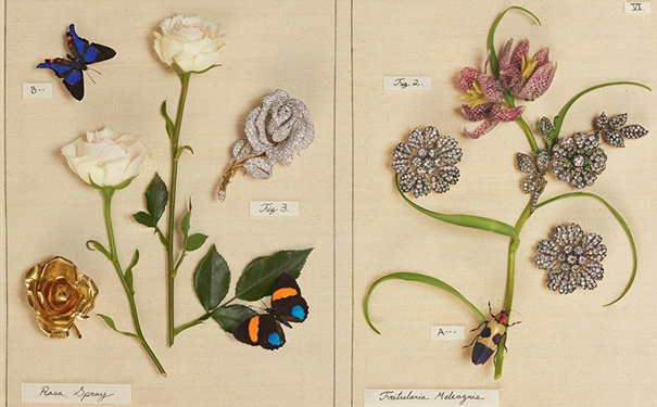 1556616037253167.jpg 1.jpg