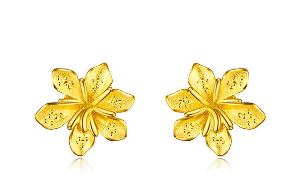 年轻人戴黄金耳环有点俗气？